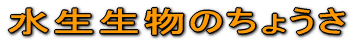 ̂傤